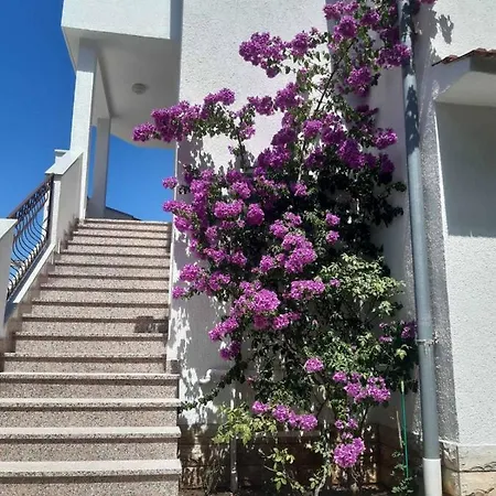 Apartment Jandom